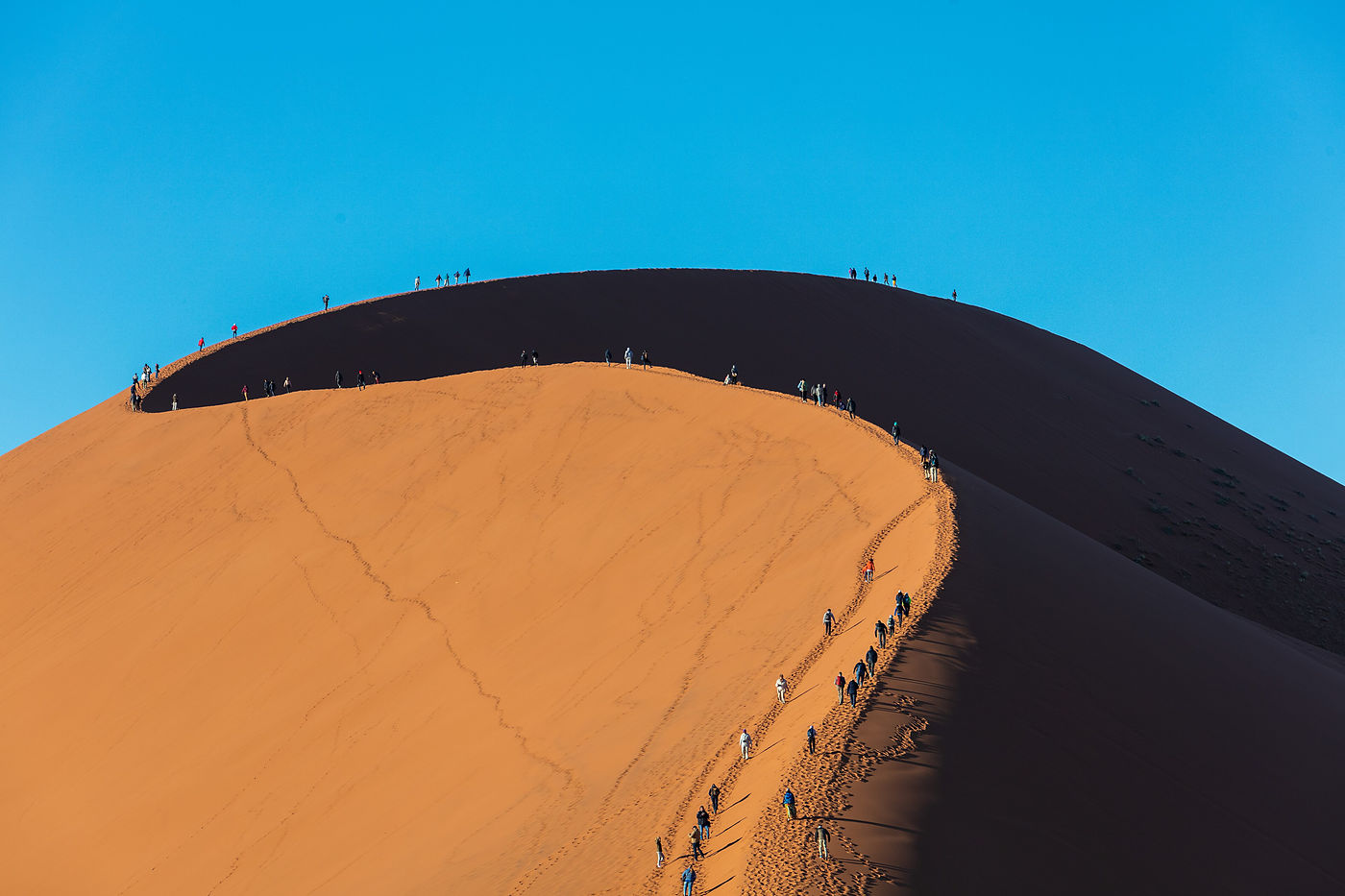 The long crest of Dune 45 at Sossusvlei, its ridge running against a clear sky.